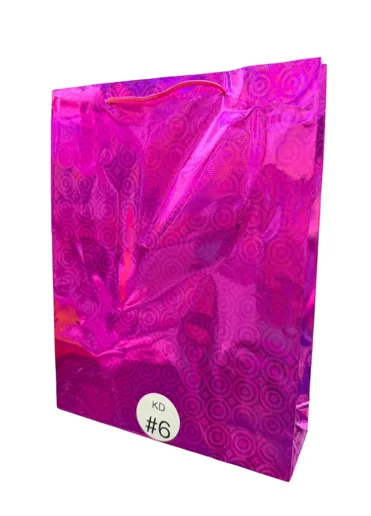 BOLSA HOLOGRAMADA ECONOMICA KD #6